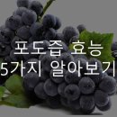 동래건강원 | 포도즙 효능 5가지 알아보기