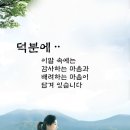 다님 이미지
