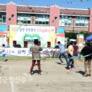 월평초교 이미지