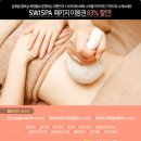 스위스파