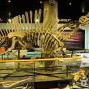 쥬라기별빛쉼터 이미지