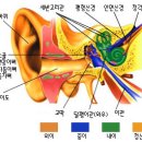 홍석호내과의원 이미지