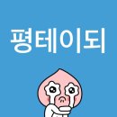 파이브스타 이미지
