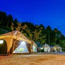 코로나펜션 | 가평 캠핑장 동물카라반펜션 후기, 아이들이 좋아하는 이유