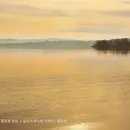 Song Story's 이미지