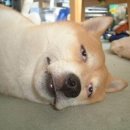 달콩민박 이미지