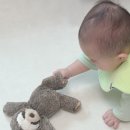 메리메이어 마시멜로우 동물 인형 후기 나무늘보 애착인형 추천!