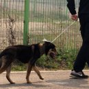 난곡동-43 이미지