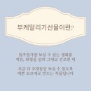 서울 부케말리기 창업 첫 단계로 추천드리는 부케기프트마스터클래스 수업 후기
