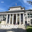 프라도 | [스페인 | 마드리드] Day 9. 세비야 마드리드 기차로 가는 방법 iryo 이용 후기 / 프라도 미술관