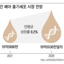 정자·난자 없이 만든 ‘인간 합성 배아’ / 박건형 이미지