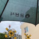 두류경북약국 | 그냥 일상,,근데 군산 여행을 곁들인
