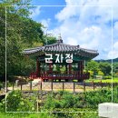 군자정 | 충남 당진 여행지 추천 | 향토유적 제1호 면천군자정