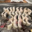 맛장어먹는날 티스토리