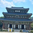 산빛약초꽃차