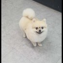 멍했냥평택