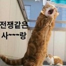 탑코인노래연습장 이미지