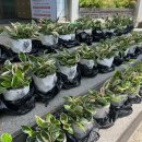 상장동행정복지센터 이미지