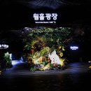 광명동굴 이미지