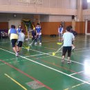 거진초등학교 이미지