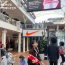 뉴타워빌딩 | 호주 시드니 아울렛 쇼핑 나이키 뉴발란스 추가 할인 (버켄헤드)