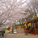 명륜자연유치원 이미지