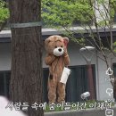 곰돌이 탈 쓰고 전단지 나눠주는 이채연.jpg 이미지