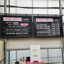 성연농장 | 일산성연딸기농장 딸기체험 아이랑갈만한곳 내돈내산 솔직후기