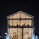 메타(META)1976 이미지