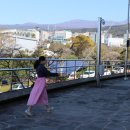 법환마을회관 이미지