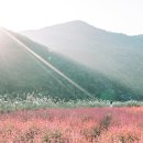 동강의품속 이미지