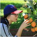 은골농원 이미지