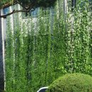 정현경농장 이미지