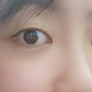담아놓다 이미지