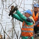 가래치기 이미지