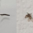 상수도사업본부 화장실 이미지