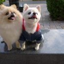 미미하우스 이미지