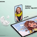 599 이미지
