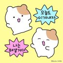 경남중 2 이미지