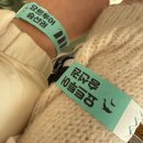 신촌9길 16-1 | 제주도 돌고래 요트투어 하고 온 후기(feat. 돌고래 노쇼 이슈)