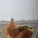 베이글델리(Bagel Deli)