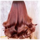 더스타일 이미지