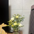 수원꽃집ㅣ영통꽃집ㅣ풀오브플라워스튜디오 내돈내산 후기