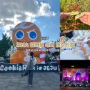 2024 컬러풀 산지 페스티벌 체험 후기 제주 야간축제