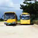 감곡초등학교병설유치원 이미지