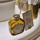 산타마리아 | 산타마리아노벨라 향수 시향 후기 | 아쿠아·앰브라·비자리아·젤소미노 리뷰