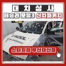 BUSAN TESLA 테슬라신차검수패키치 l 부산 대치상사 모델3