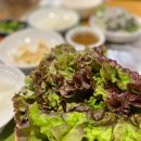 개수리막국수&산골닭갈비충주점 이미지