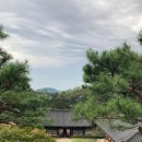 개단장 | 해남 가볼만한곳 달마산 천년고찰 미황사 새단장 중 방문 후기