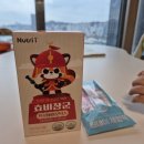 황금효약국 | 효비장군 💪 소화부터 장 건강까지 책임지는 어린이 유산균 👶✨